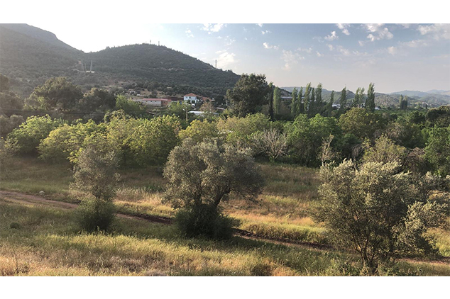Seferihisar'da Doğa Manzaralı Villa Arsaları