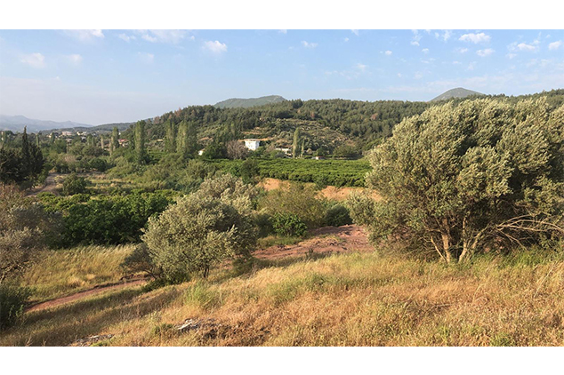 Seferihisar'da Doğa Manzaralı Villa Arsaları