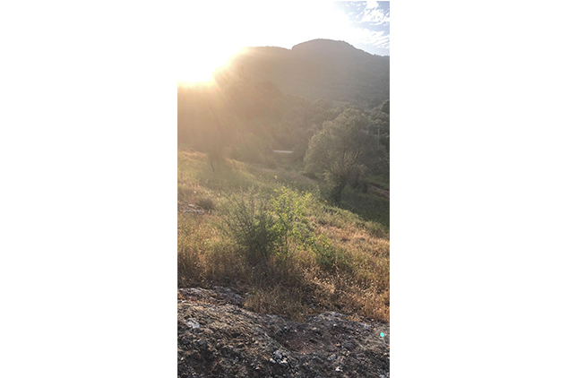 Seferihisar'da Doğa Manzaralı Villa Arsaları